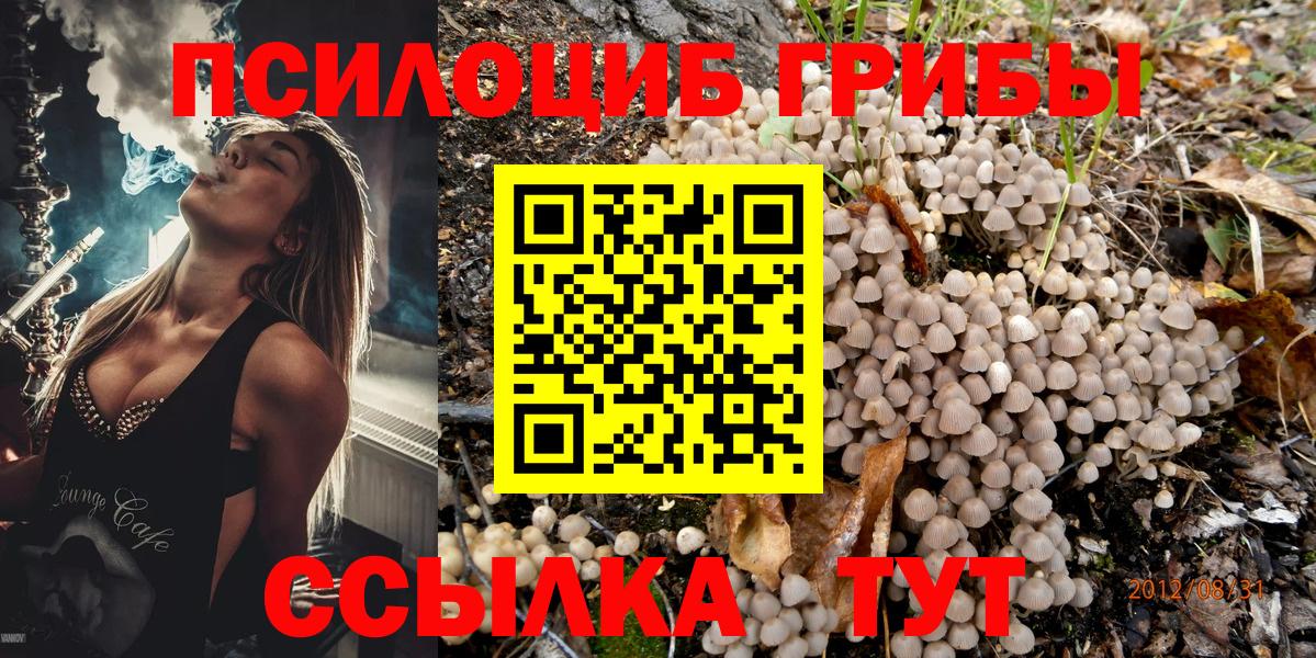 Реутов  Псилоцибиновые грибы Psilocybine cubensis  Вход с VPN 