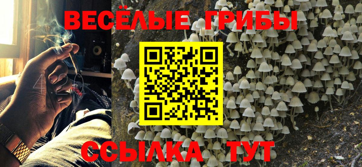 Псилоцибиновые грибы прущие грибы Реутов